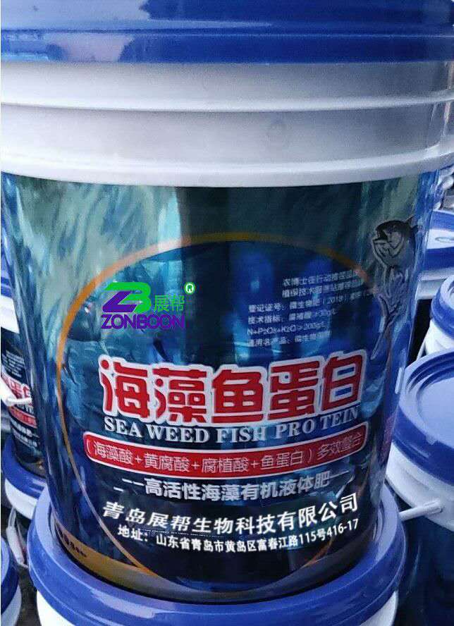 海藻鱼蛋白